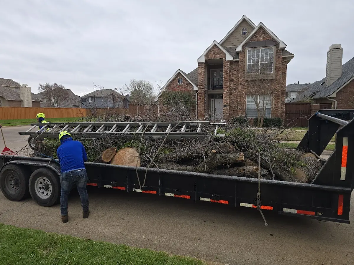Expert Lot Clearing with proper safety equipment in La Rue